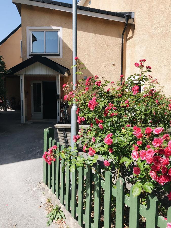 Birkagatan Vandrarhem Hostel Висбю Екстериор снимка